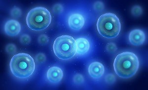 Stem cell therapy